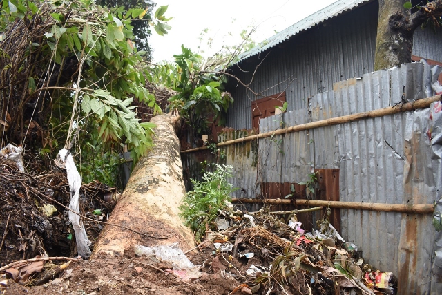 TRIPURA: Cyclone storm damages 800 houses in Tripura; official says, immediate relief measures rolled out