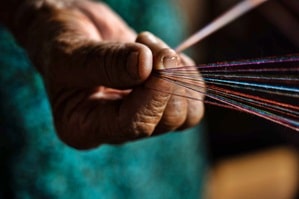Trump’s return likely to bolster India’s textile trade with US: Industry