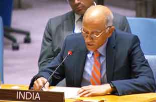 UNSC reforms essential for peacekeeping operations to be effective: India UNSC reforms essential for peacekeeping operations to be effective: India