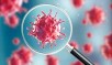 Covid cases increasing, but nothing to worry about as infections are not severe: ICMR chief